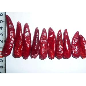 Quality Sichuan Red Bullet Chilli Stemless Dried Hot Chili Peppers GMP for sale