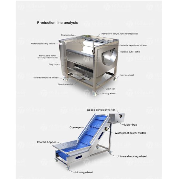 Multifunctional Vegetable And Fruit Processing Line Hair Roller Bubble Cleaning Production Line