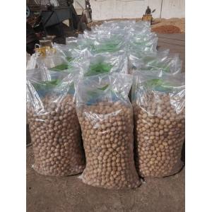 dry fruits unwashed shelled 185 paper skin walnut Best price raw in china