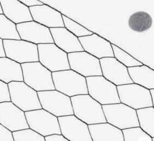 Quality Galvanized hexagonal wire netting Iron wire mesh for sale