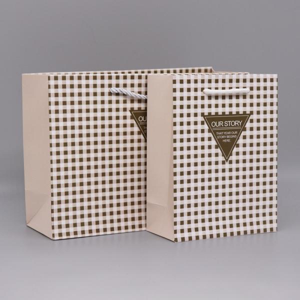 Simple Style custom Paper Bag Packaging For Clothes OEM ODM acceptable