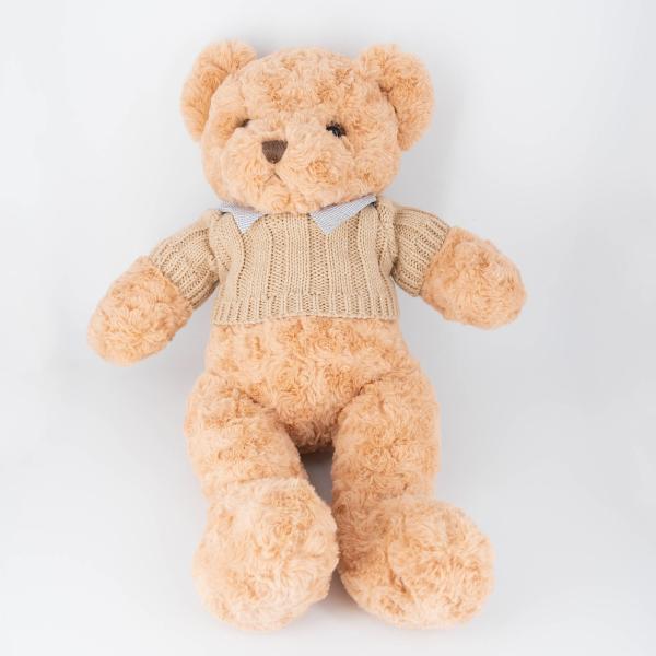 All Ages Soft Plush Toys Teddy Bear Personalized Text Image And Outfits For Unique Gifts