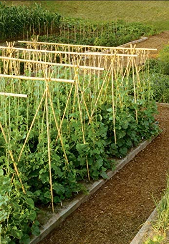 7ft Bamboo Plant Support Sticks