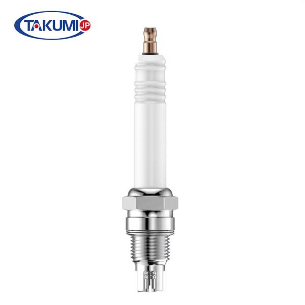 R10p3 Industrial Spark Plug