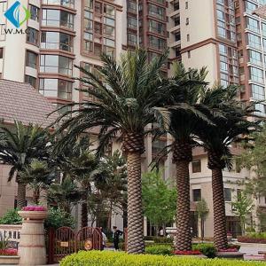 Indoor Landscape Decorative Artificial Phoenix Palm Tree Customized Size Durable