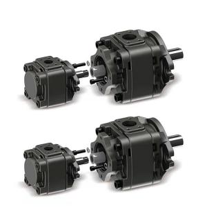 Quality ODM Hydraulic Gear Pump Vickers 5001454-003 External Gear Pump for sale