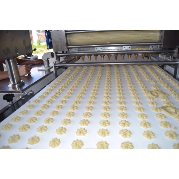 stainless steel HY1000 type biscuit machine line suitable for factory