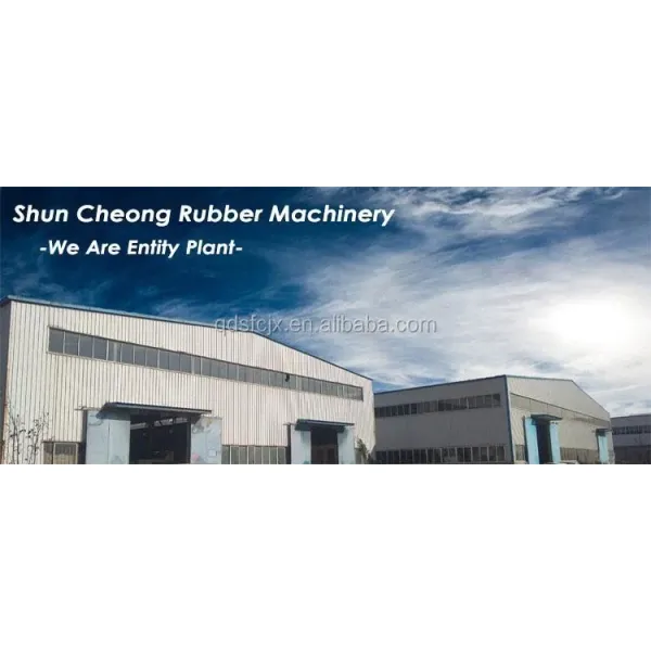 Automatic Grade Vertical Structure Heating Press Duplex Curing Machine for Car Foot Mat Making