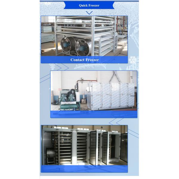 IQF Blast Freezer Hydraulic Quick Freezer for Shrimp Fish