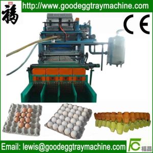 Quality Pulp Tray Forming Equipment for sale