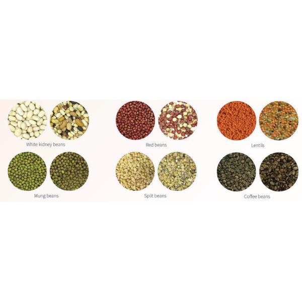 Rice Optical Color Sorter