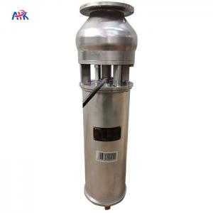 Quality 100m3/H Stainless Steel Fountain Pump Fountain Garden Project for sale