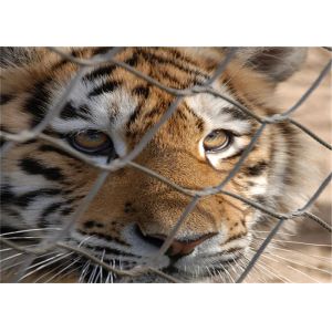 Quality 30x30mm Zoo Wire Mesh Inter Stainless Woven Wire Mesh 7x7 for sale