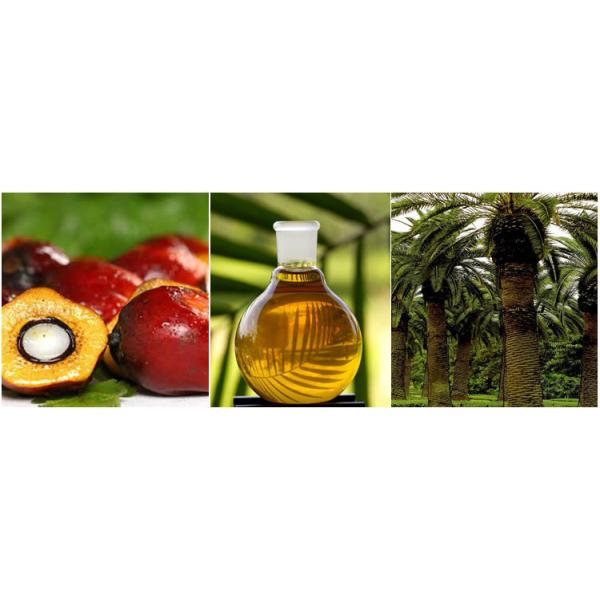 Self Cleaning Nozzle Separator Centrifuge Large Scale Palm Oil Refinery Machine