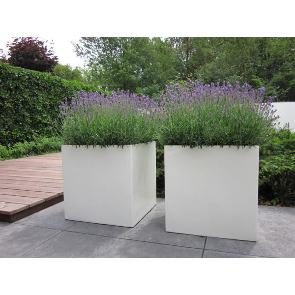 Rectangular Modern Fiberglass Planters Customized 30-Day Crafted Timeless