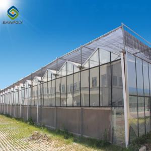 Quality 12m Multi Span Polycarbonate Greenhouse For Exhibition for sale