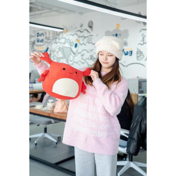 Personalized Plush Cuddle Pillow Set Soft Toys Pillows Customized Size