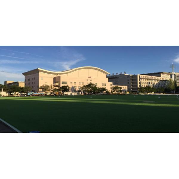 Woven Backing Soccer Turf Grass Aritificial For Football Field