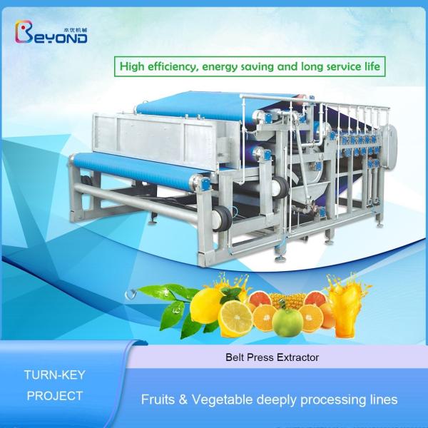 Belt Type Fruit Squeezing Machine Pineapple / Apple / Orange Juice Squeezer