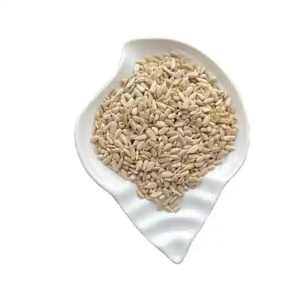 wholesale cheap price barkey grade China sunflower seed kernel Best seller on Amazon