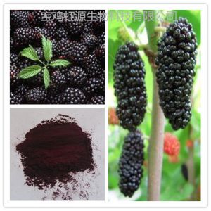 Buy cheap High quality organic dried Mulberry Fruit Extract powder from wholesalers
