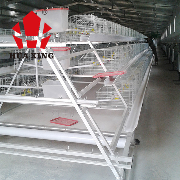 Chicken Farming 3 Tiers A Frame Layer Cages Automatic Manure System