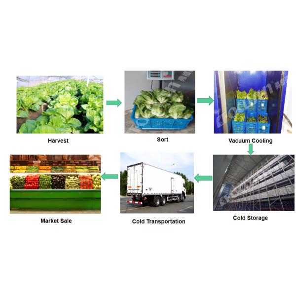 Industrial Fruit Vegetable Vacuum Cooler with Provided Video Outgoing-Inspection