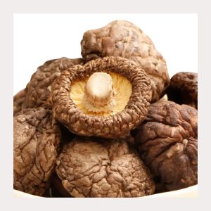 Quality 100% Natural Dried Shiitake Mushrooms No Additives Bag Packaging for sale