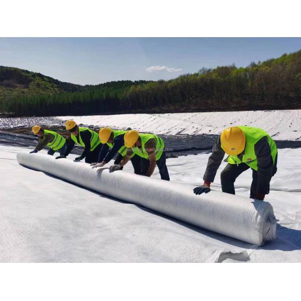 Composite Drainage Network HDPE Drainage Geonet Geocomposite Mats for Heat Insulation