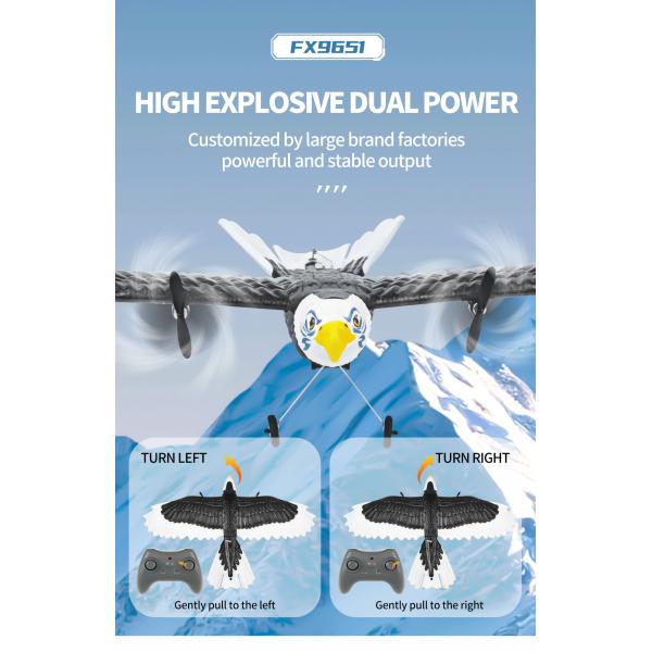 Features RTF 3ch Epp Foam Rc Simulation Wingspan Bald Eagle 2.4g Rc Glider Airplane Toys with 14 Years up Age Range