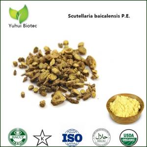 Quality scutellaria baicalensis georgi extract,Baical Skullcap root extract for sale