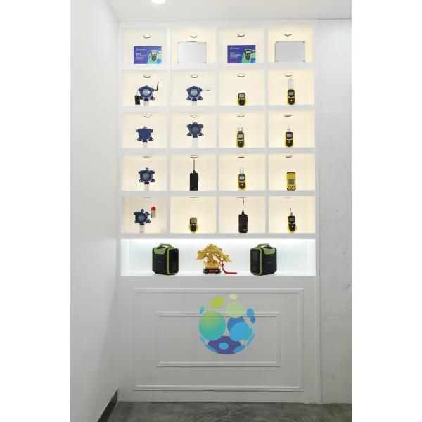 Portable NH3 Meter Ammonia Gas Analyzer Single Gas Detector 0 - 100ppm With Sound / Light / Vibration Alarm