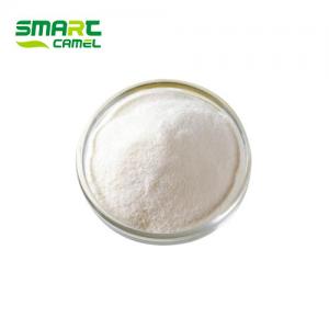 Quality SR9009 /  Ethyl-3-(((4-chlorobenzyl)((5-nitrothiophen-2-yl)methyl)amino)methyl)pyrrolidine-1-carboxylate for sale