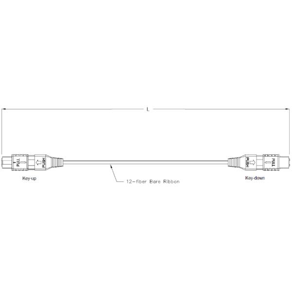 10G OM3 MPO Patchcord