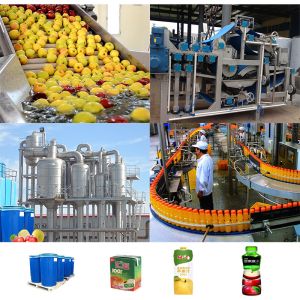 Apple Pulp Jam Processing Line Puree & Paste Making Machine