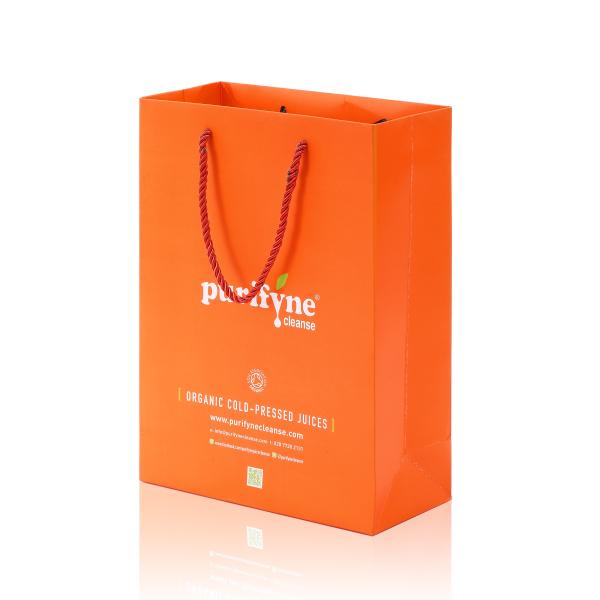 Orange Pantone PMS Color Gloss Art Paper Printing Custom Design Paper Bags for Shopping Packaging