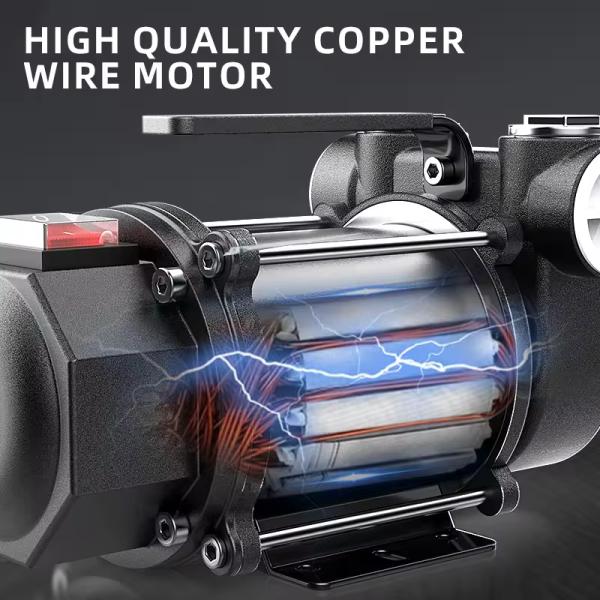 High Flow Compact Size 220 Volt 60L/min Electric Oil Portable Diesel Fuel Transfer Pump