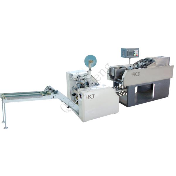 Single Belt Strapping Pillow Pouch Packaging Machine