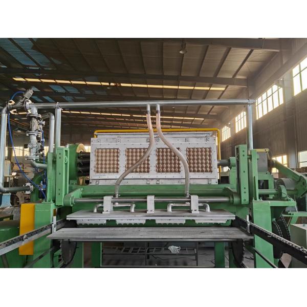 30-150kw Different Capacity Paper Egg Tray Machine With Advanced Technology