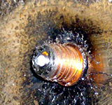 BTH BOLTE Welding Studs for Capacitor Discharge Stud Welding Threaded Knock-Off Studs