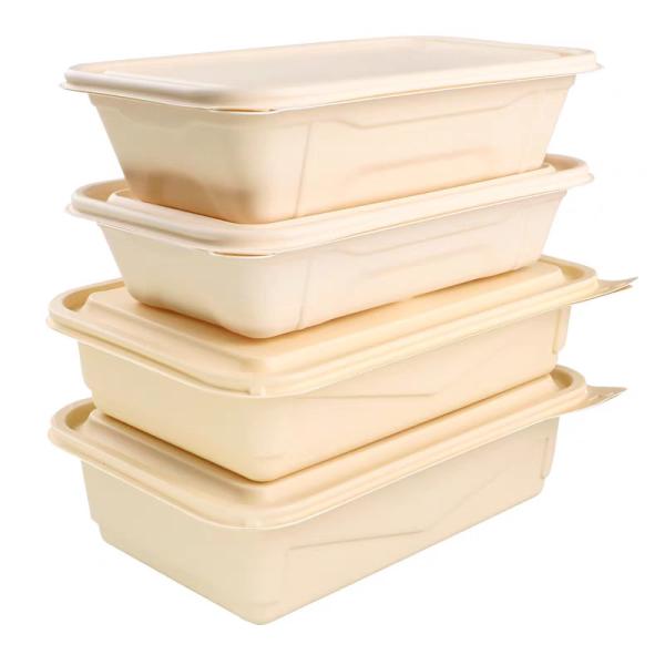 Takeout Fast Food Biodegradable Container Environmentally Friendly Bowls With Lid