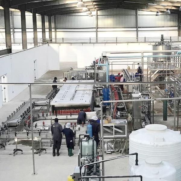 Automatic Industrial Kiwi Juice Making Machine Fruit Juice Production Equipment 380V