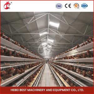 China A Type Full Automatic Chicken Cage Equipment For 20,000 Capacity Poultry Farm Sandy on sale
