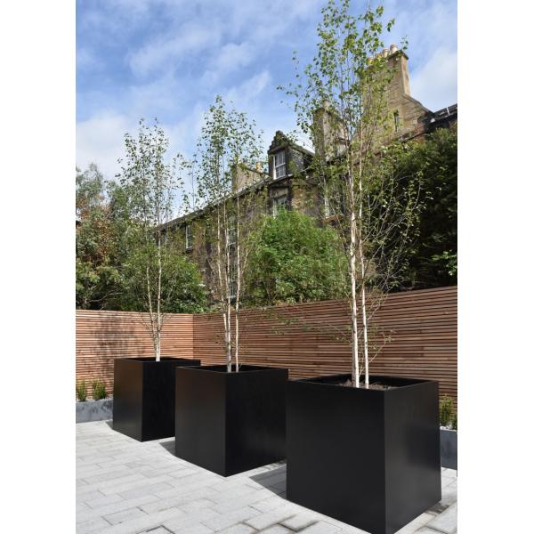 Rectangular Modern Fiberglass Planters Customized 30-Day Crafted Timeless
