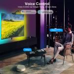Alexa Google Assistant Tuya App Control Smart LED Ambient Light With Camera