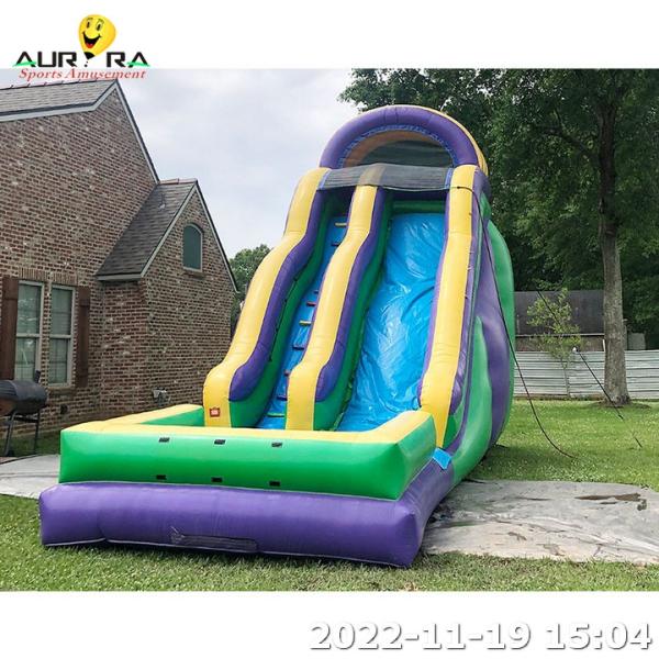 PVC Tropical Inflatable Slide Double Lane Inflatable Water Slide With Pool