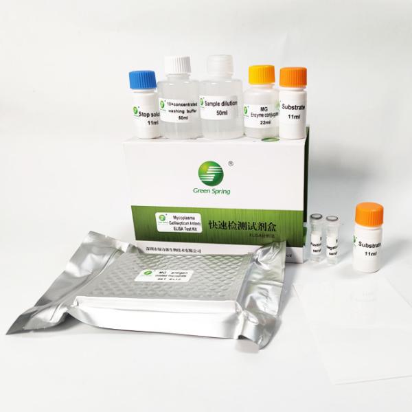 96 Wells/Kit Mycoplasma Gallisepticum MG Avian Influenza Rapid Test Kit For Poultry