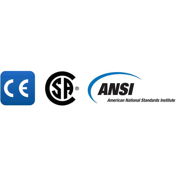 ANSI Isolate Safety Goggle