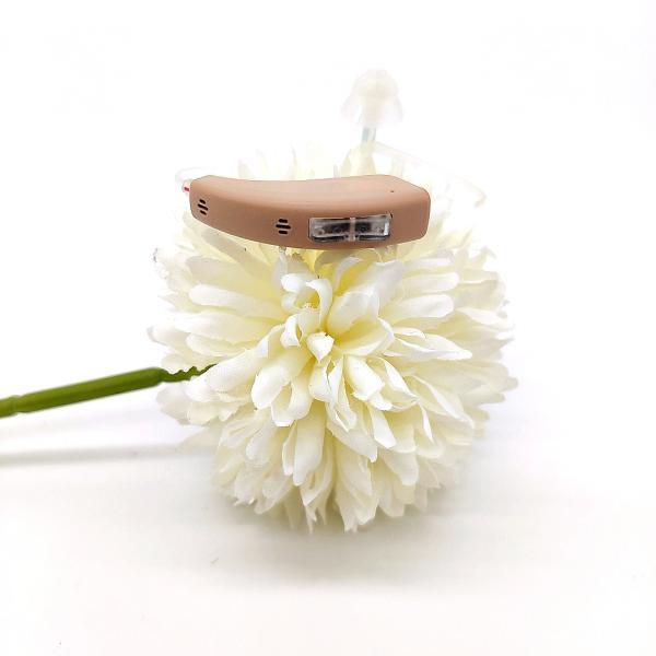 Retone Open Fit Hearing Aids