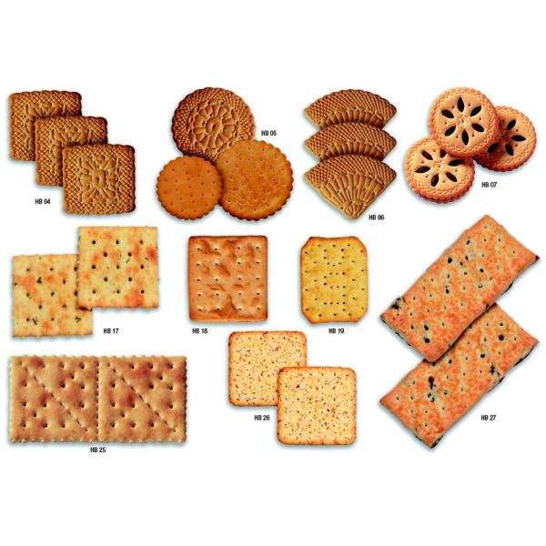 Schneider Transducer Soft And Hard Biscuits Making Machine
